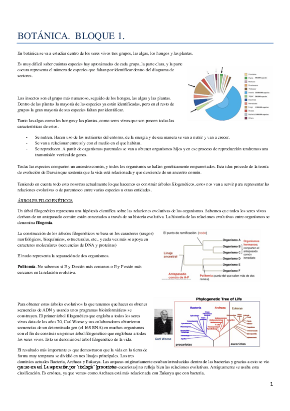 Miniatura del documento TEMA 1. GENERALIDADES[5645].pdf