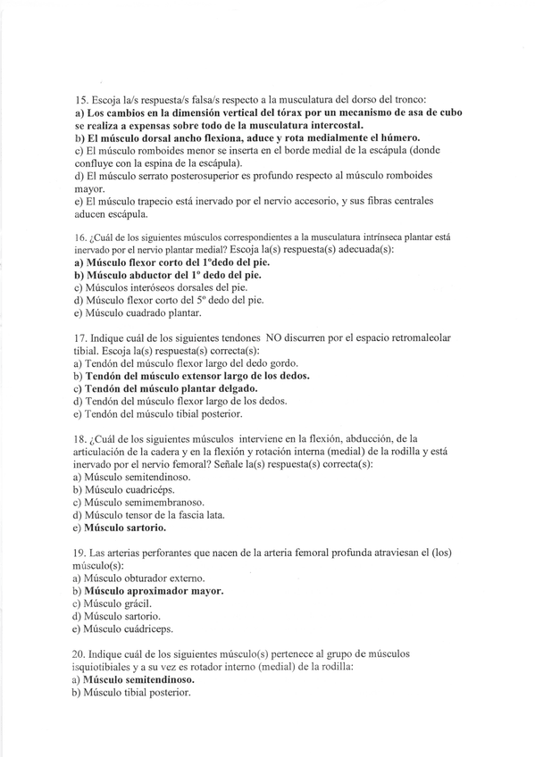 Miniatura del documento Escanear 13.jpeg