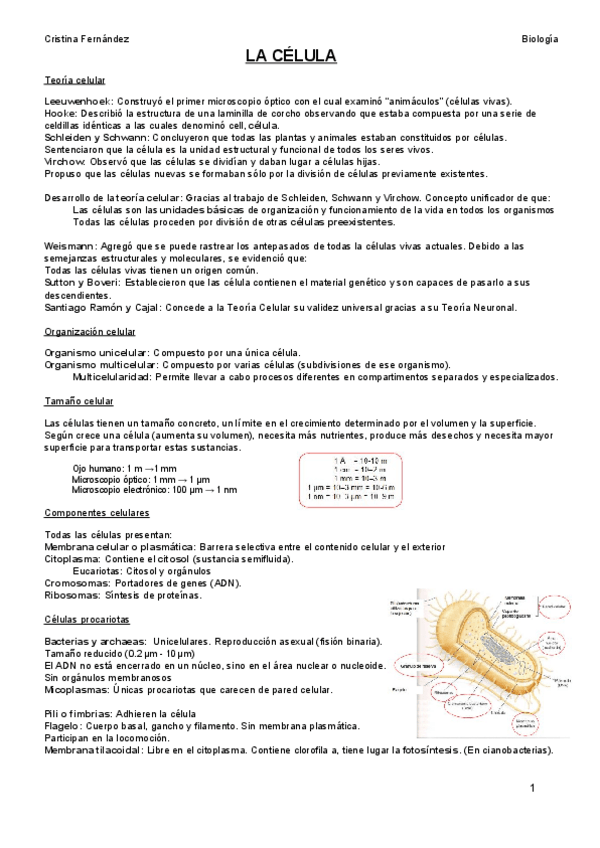 Miniatura del documento TEMA 3 (2).pdf