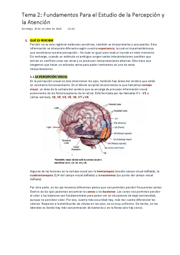 Miniatura del documento PAT Tema 2. Fundamentos Para el Estudio de la Percepción.pdf