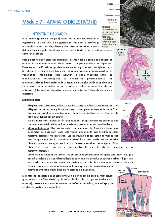 Miniatura del documento Apuntes histología M7 (1).pdf