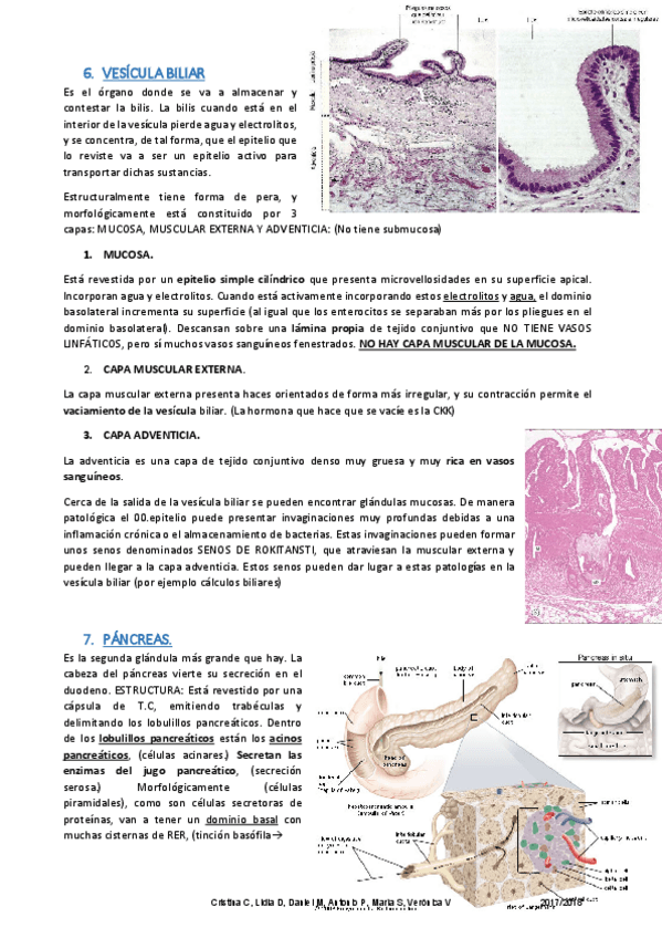 Miniatura del documento Apuntes histología M7 (2).pdf