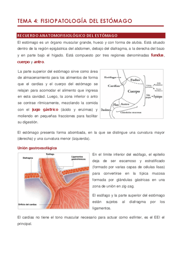Miniatura del documento Tema 4.pdf