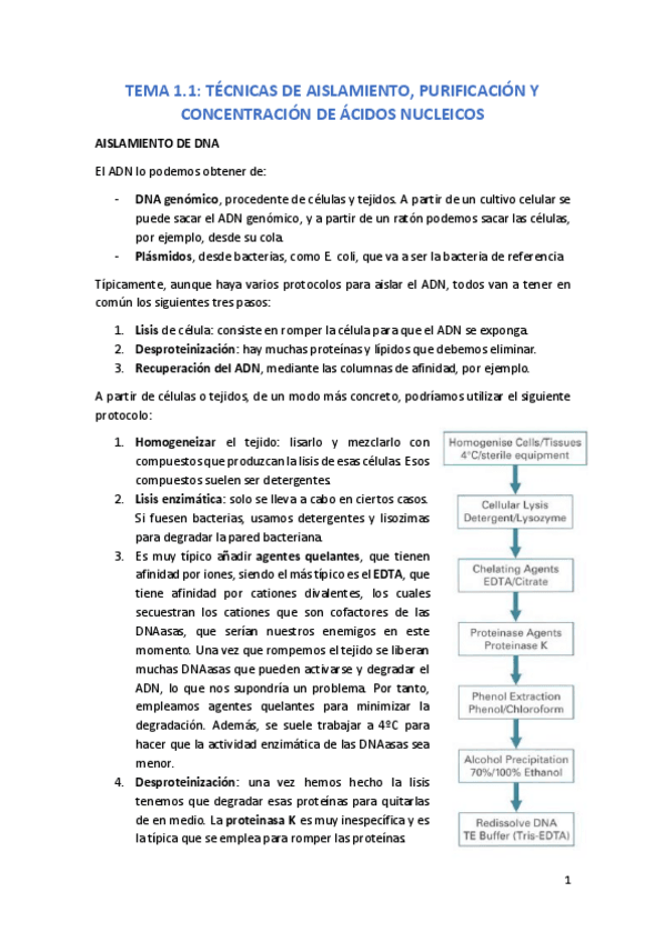 Miniatura del documento TEMA 1.1.pdf