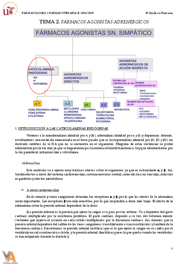 Miniatura del documento TEMA 2 FÁRMACOS AGONISTAS ADRENÉRGICOS.pdf