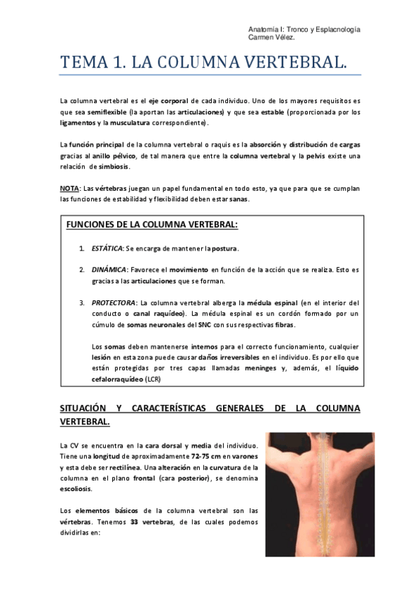 Miniatura del documento TEMA 1. COLUMNA VERTEBRAL.pdf