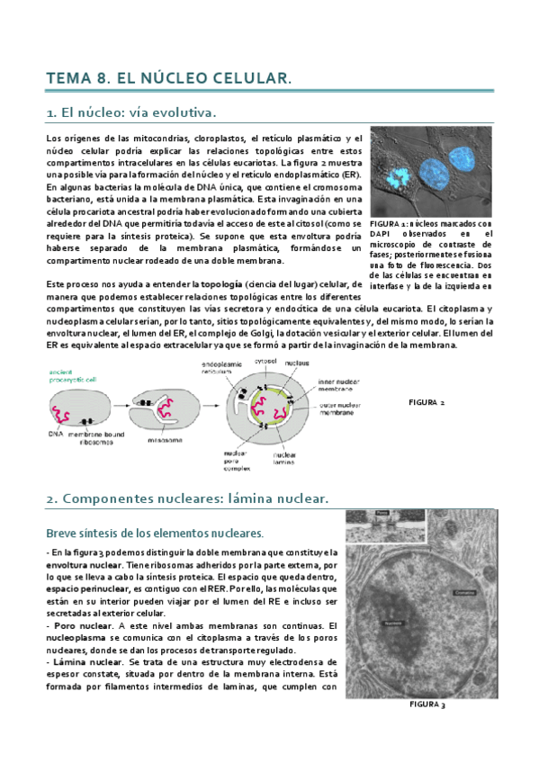 Miniatura del documento Dinámica_Tema 8.pdf