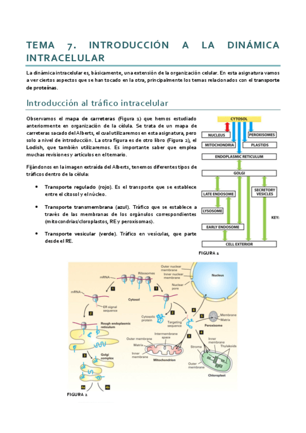 Miniatura del documento Dinámica_Tema 7.pdf