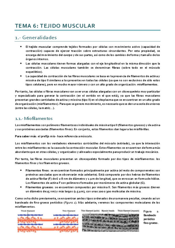 Miniatura del documento Histología_Tema 6 I.pdf