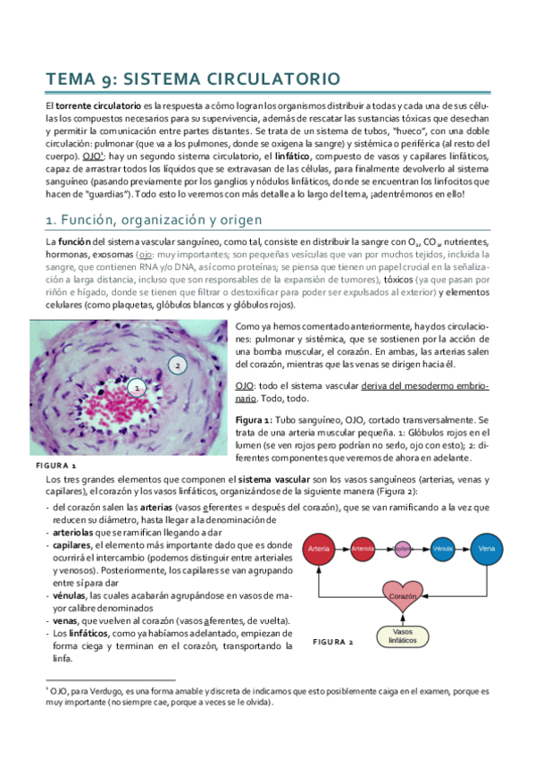 Miniatura del documento Histología_Tema 9 I.pdf
