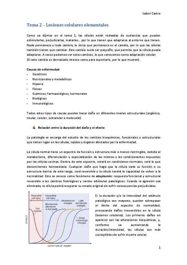 Miniatura del documento Tema 2 - Lesiones celulares elementales.pdf