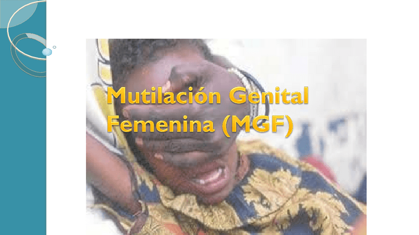 Miniatura del documento TEMA 9 DIVERSIDAD.pdf