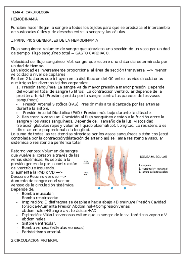 Miniatura del documento 4.2.Fisio.docx