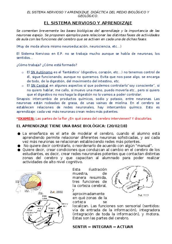 Miniatura del documento SISTEMA NERVIOSO Y APRENDIZAJE.docx