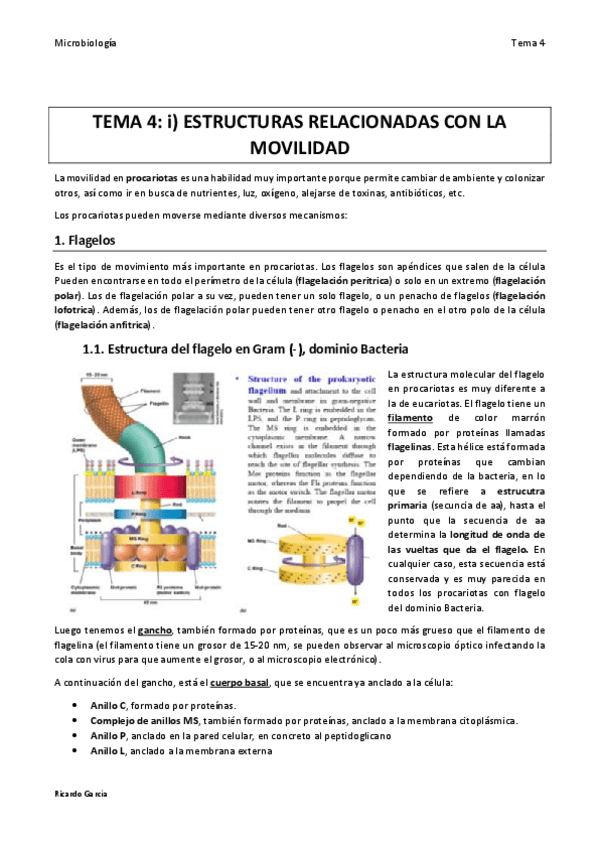 Miniatura del documento TEMA 4 MICRO final.pdf