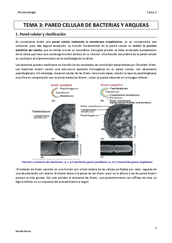 Miniatura del documento TEMA 3 MICRO final.pdf