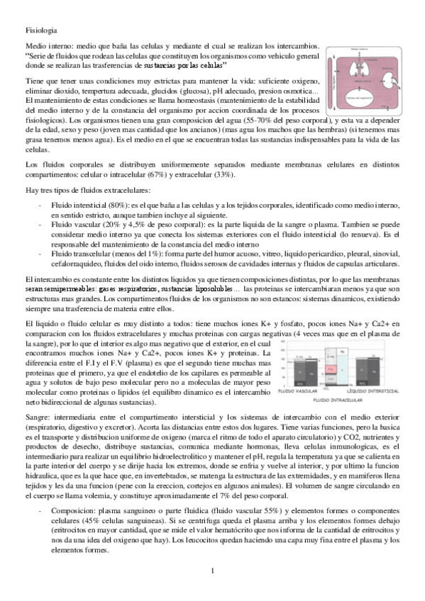 Miniatura del documento fisiologia-convertido.pdf