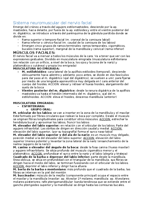 Miniatura del documento Sistema neuromuscular del nervio facial.docx