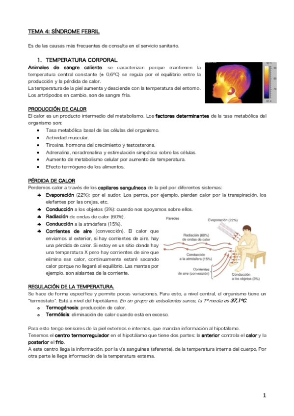 Miniatura del documento Tema 4.pdf
