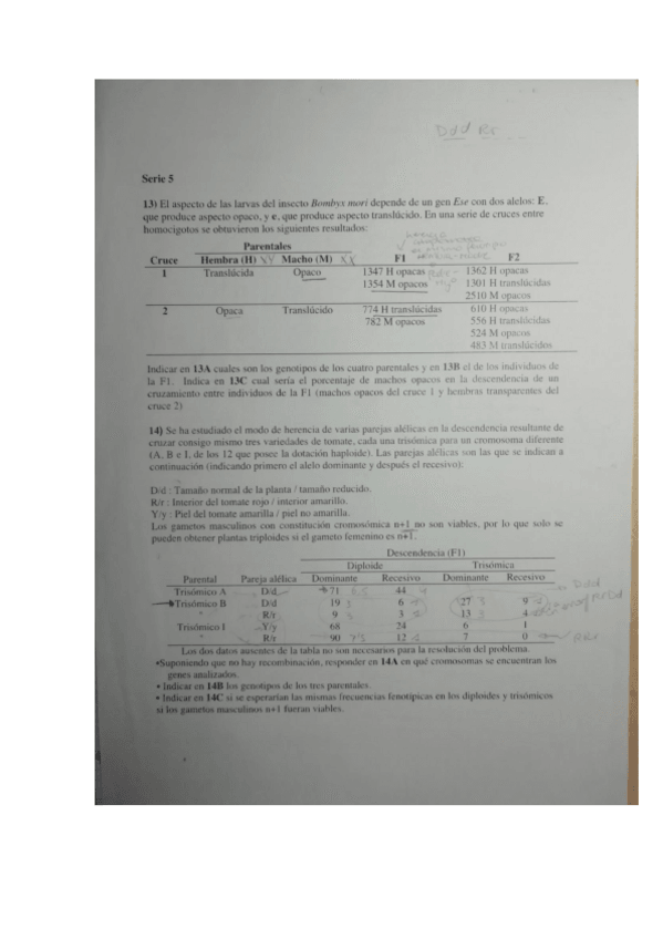 Miniatura del documento serie 5 resuelta.pdf