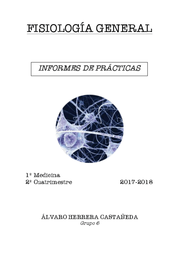 Miniatura del documento Informes de Prácticas.pdf