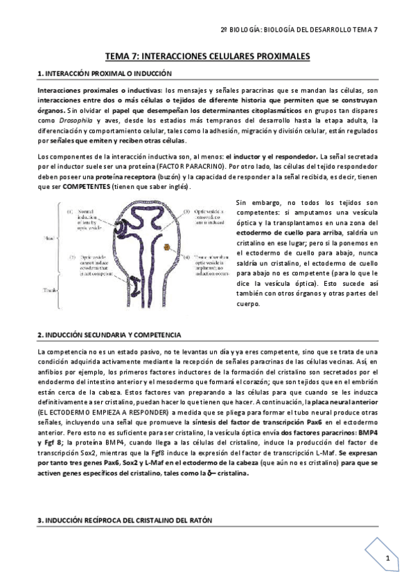 Miniatura del documento TEMA 7 final.pdf