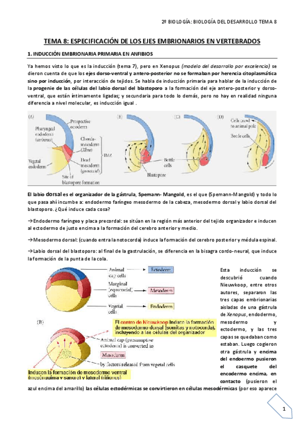 Miniatura del documento TEMA 8 final.pdf