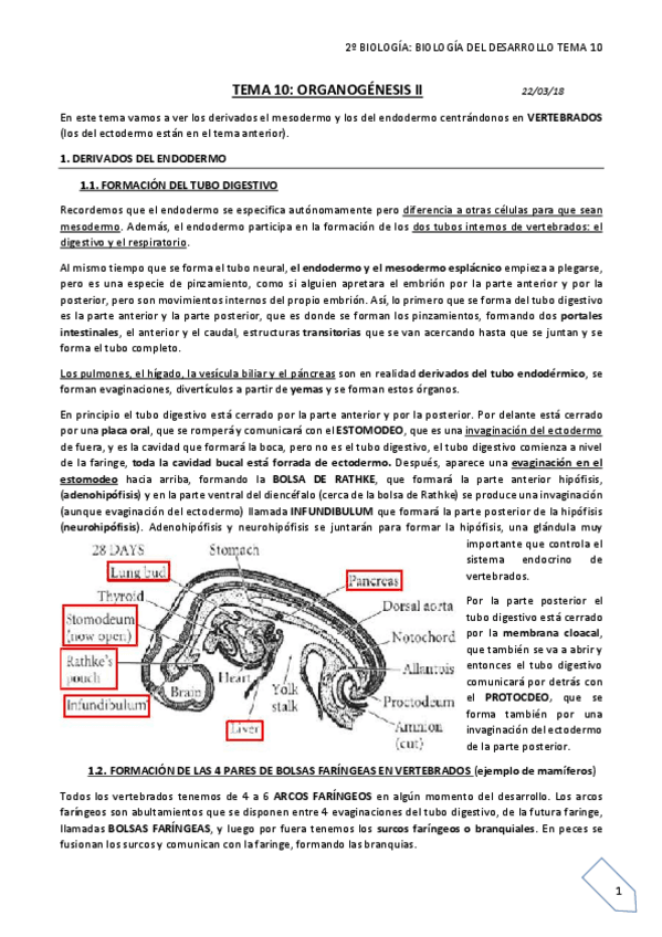 Miniatura del documento TEMA 10 final.pdf