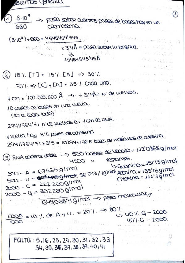 Miniatura del documento Documento.pdf