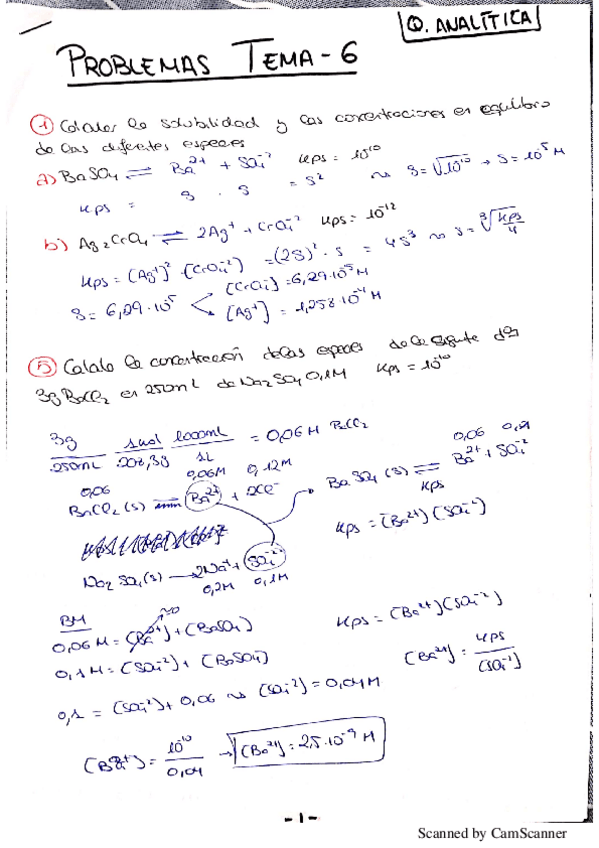 Miniatura del documento PROBLEMAS TEMA 6-Q.Analitica1.pdf