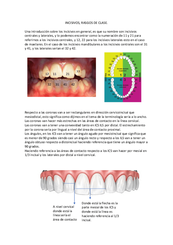 Miniatura del documento INCISIVOS.pdf