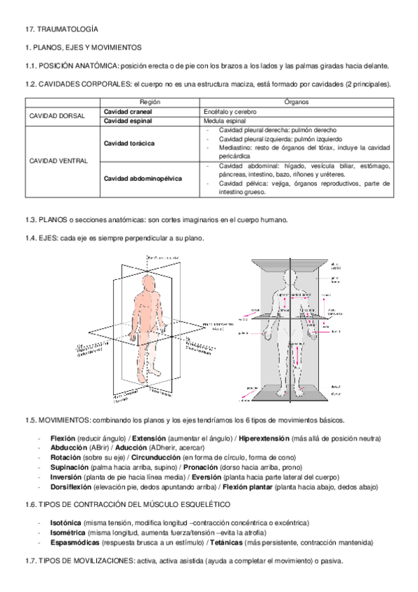Miniatura del documento PREPARACIÓN EIR - 17. TRAUMATOLOGÍA.docx