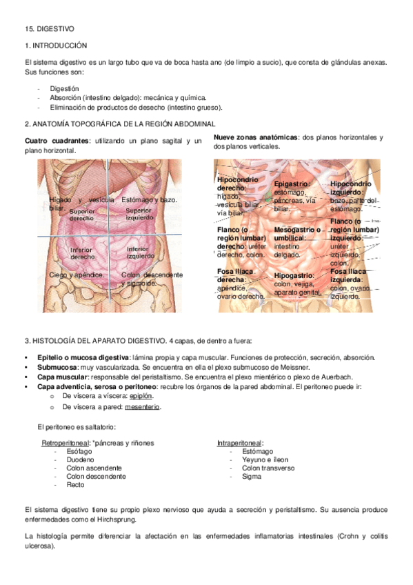 Miniatura del documento PREPARACIÓN EIR - 15. DIGESTIVO.docx