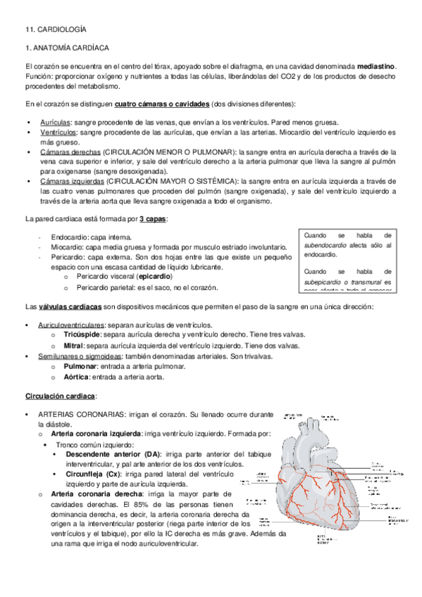 Miniatura del documento PREPARACIÓN EIR - 11. CARDIOLOGÍA.docx