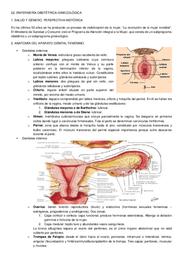 Miniatura del documento PREPARACIÓN EIR - 22. OBSTÉTRICO-GINE.docx