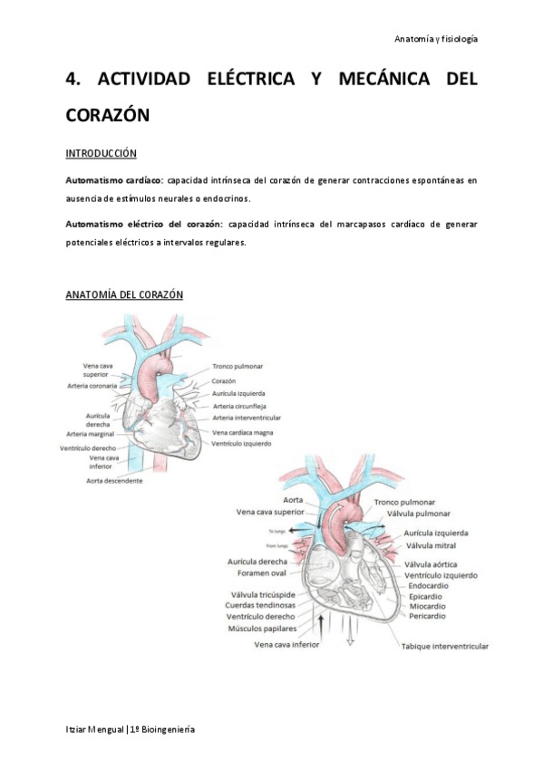 Miniatura del documento 04 Actividad eléctrica y mecánica del corazón.pdf