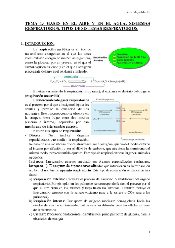 Miniatura del documento TEMA 1.- GASES EN EL AIRE Y EN EL AGUA. SISTEMAS RESPIRATORIOS. TIPOS DE SISTEMAS RESPIRATORIOS..pdf