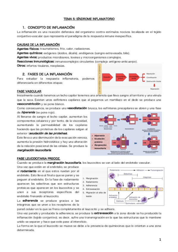 Miniatura del documento Tema 5.pdf
