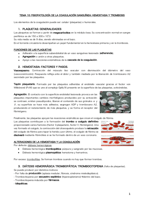 Miniatura del documento Tema 10.pdf