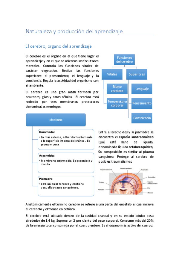 Miniatura del documento Tema 2.pdf