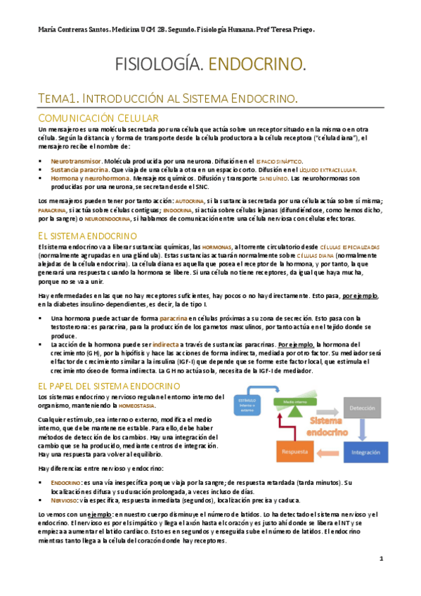 Miniatura del documento Endocrino.pdf