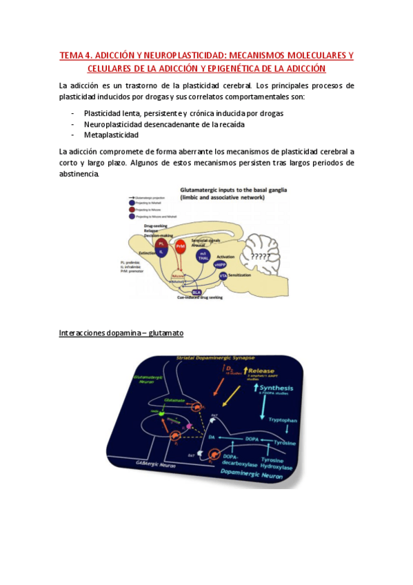 Miniatura del documento TEMA 4 drogo.pdf