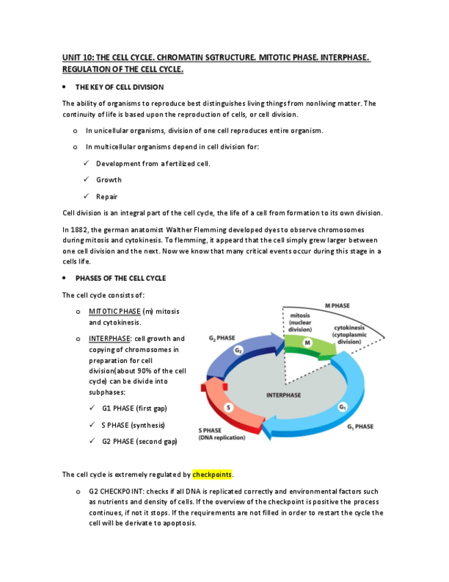 Miniatura del documento UNIT 10..pdf