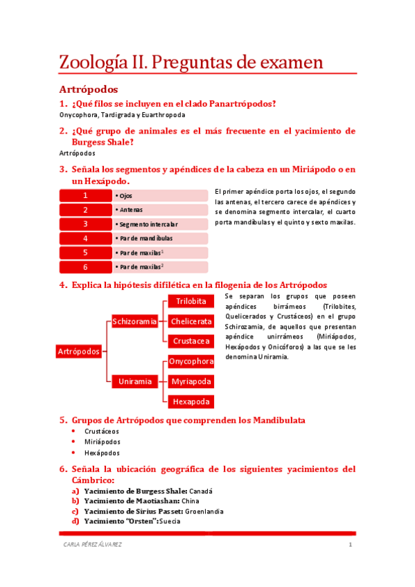 Miniatura del documento Preguntas de examen.pdf