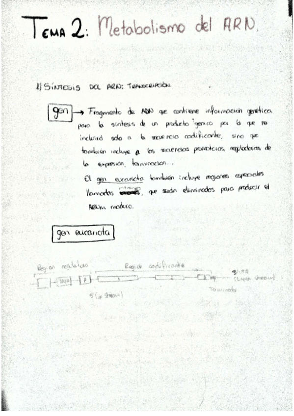 Miniatura del documento 20190312 (1).pdf