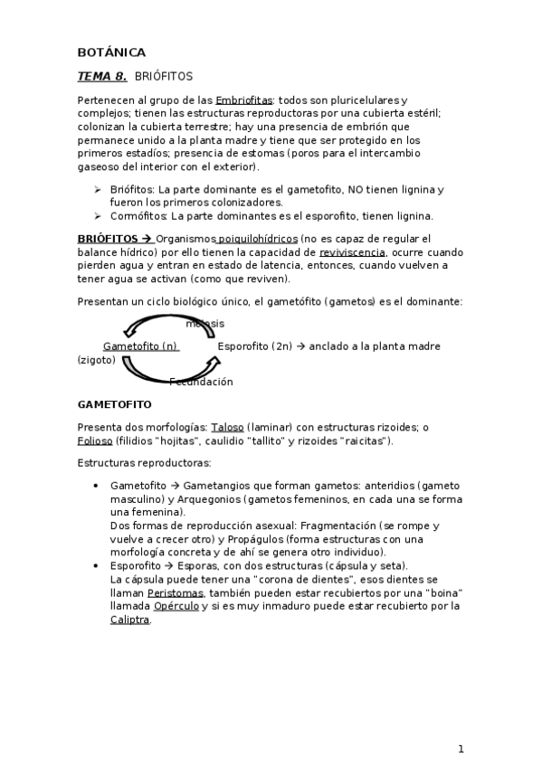 Miniatura del documento tema8.docx