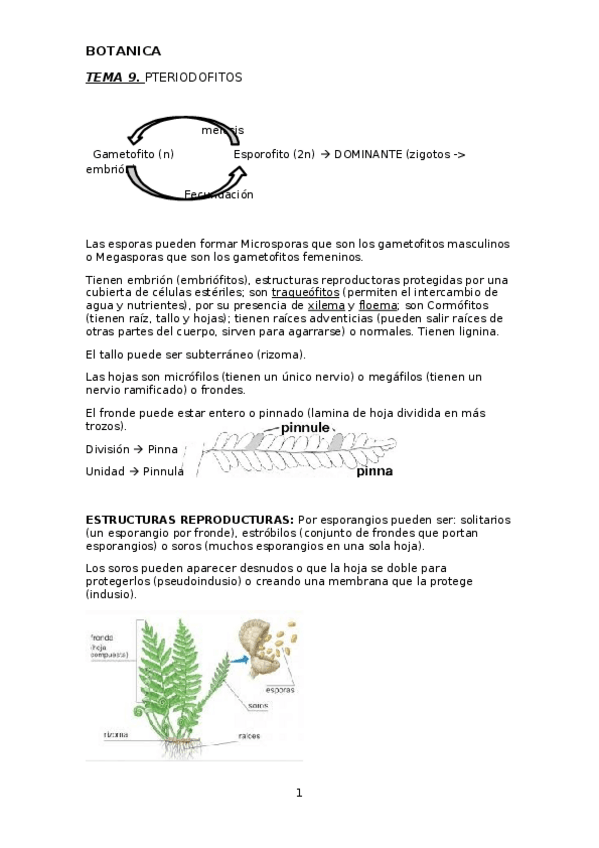 Miniatura del documento tema9.docx