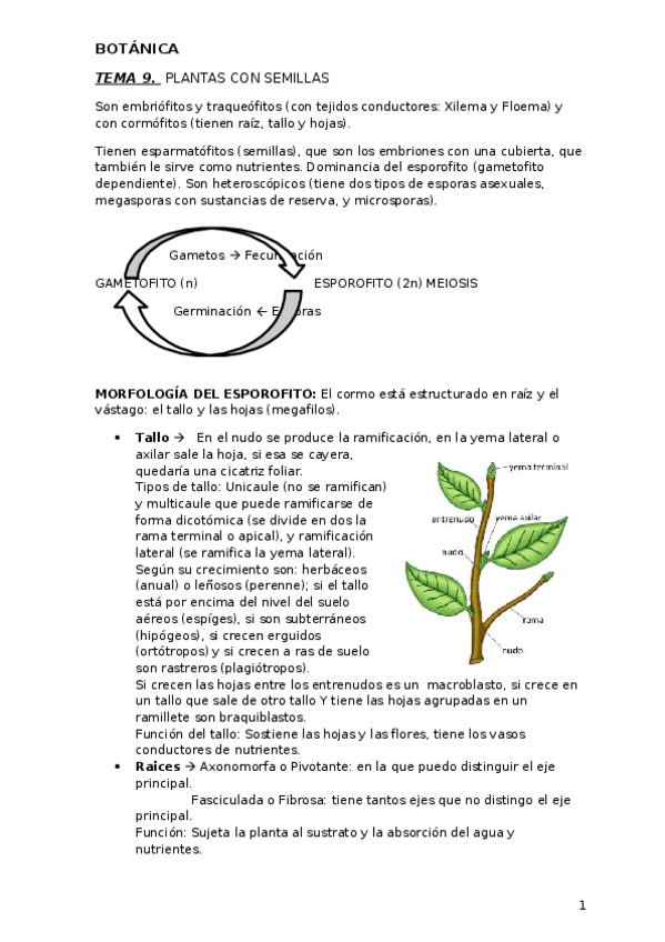 Miniatura del documento tema10.docx