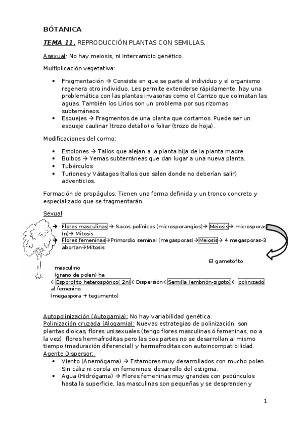 Miniatura del documento tema11.docx