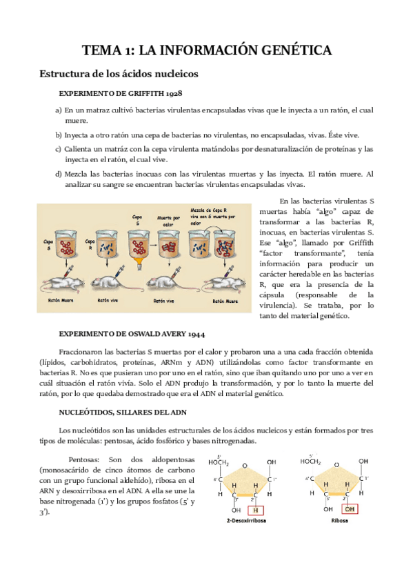 Miniatura del documento TEMA 1.pdf